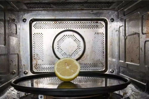 看完嚇一跳 這8個廚房用品上有300多種細菌,你可能每天都在用