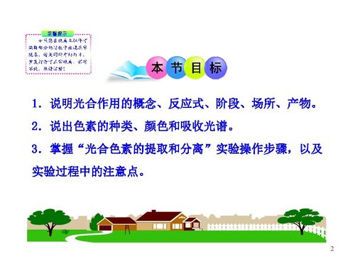 第三章 第五節(jié) 第一課時(shí) 光合作用概述 葉綠素和其他色素 浙科版必修1 浙江專(zhuān)用 下載 生物