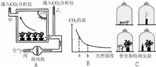 我們可以利用如圖a所示裝置來比較植物光合作用強度和呼吸作用強度.已知其他條件適宜,請分析回答 1