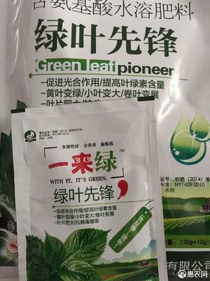 綠葉先鋒 高效葉面肥‘一來綠’，黃葉變綠與光合作用的奧秘