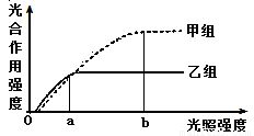 探究生長(zhǎng)條件對(duì)光合作用的影響 實(shí)驗(yàn)設(shè)計(jì)與解析