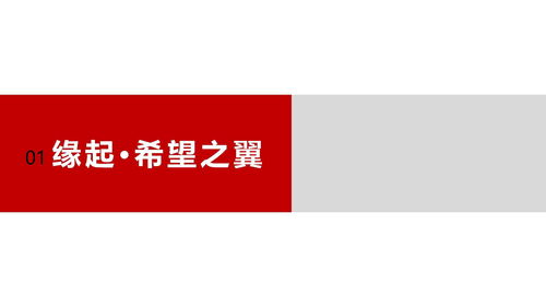 引領行業(yè)發(fā)展，彰顯卓越實力——企業(yè)形象宣傳片策劃方案
